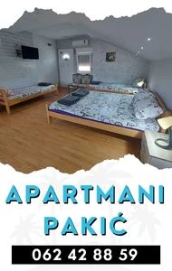 Banja Vrujci Apartmani Pakic